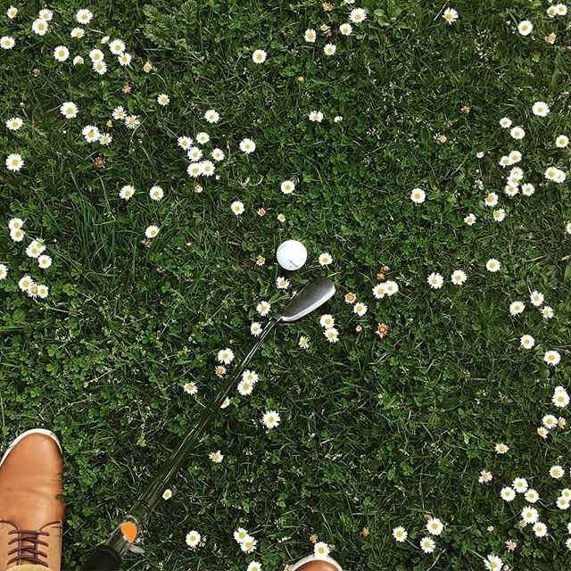 White flowers in the garden